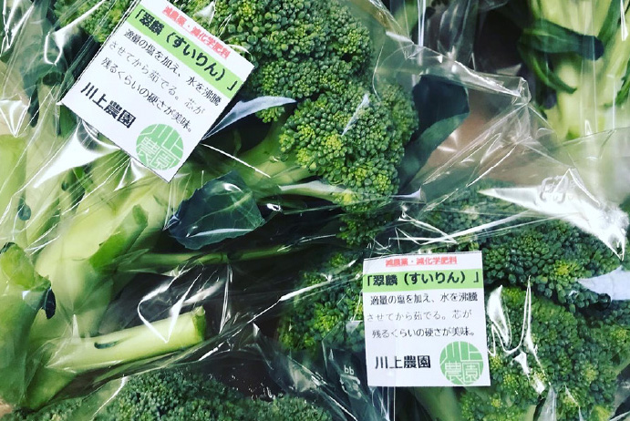 broccoli3